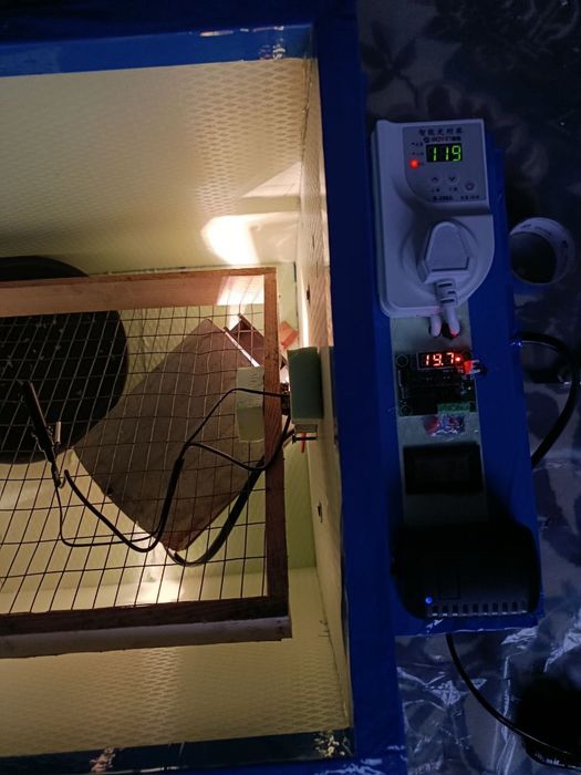 Продаётся инкубатор Inkubator sotiladi 55-56talik tuxum ochirgich