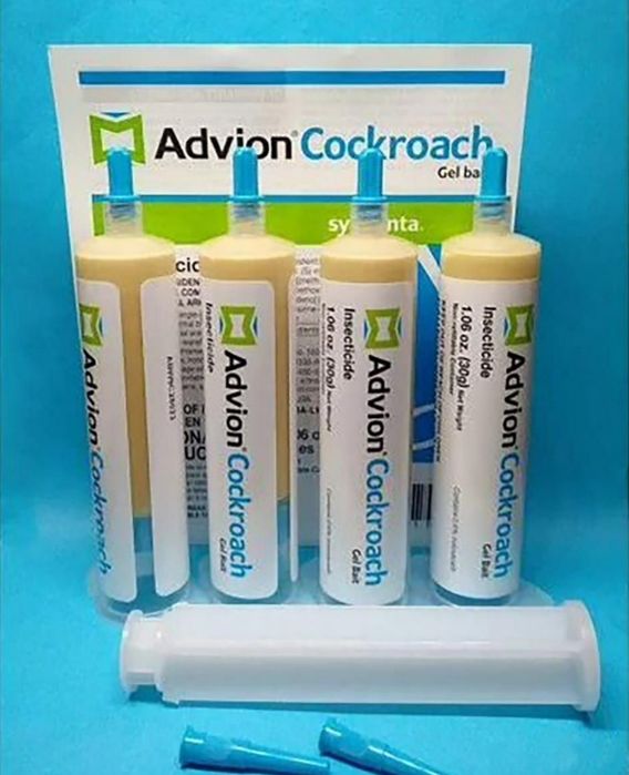 Таракан дори оригинал