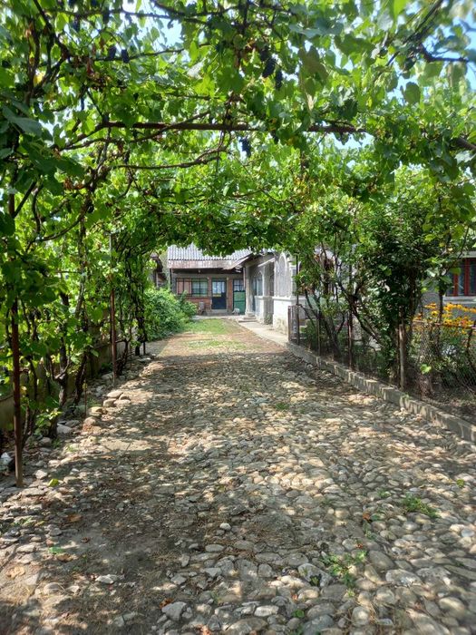 Casa si teren,gaze,lumina,put,acte la zi