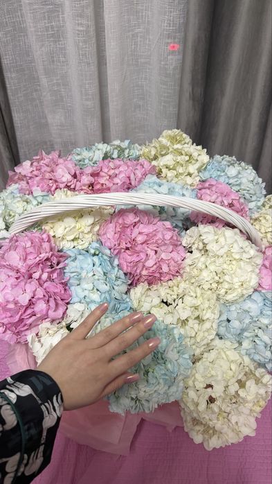 Гортензия цветы белые розовые