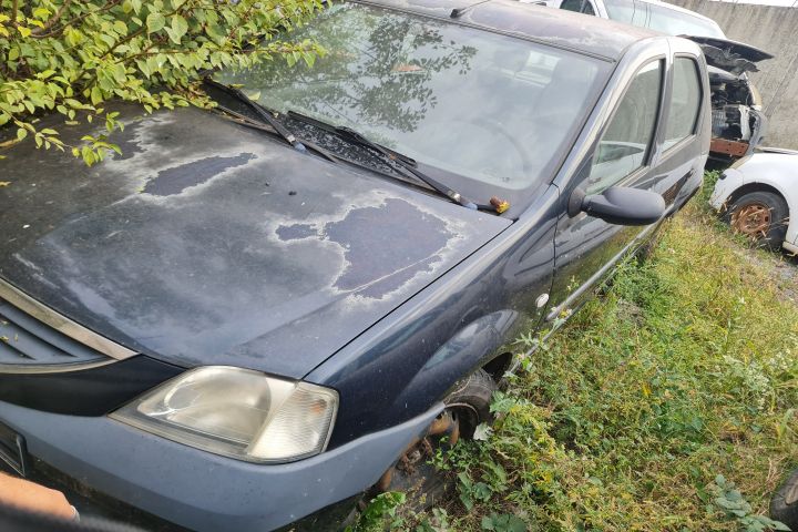 Canistra carbon 7700423934 Dacia Logan prima generatie