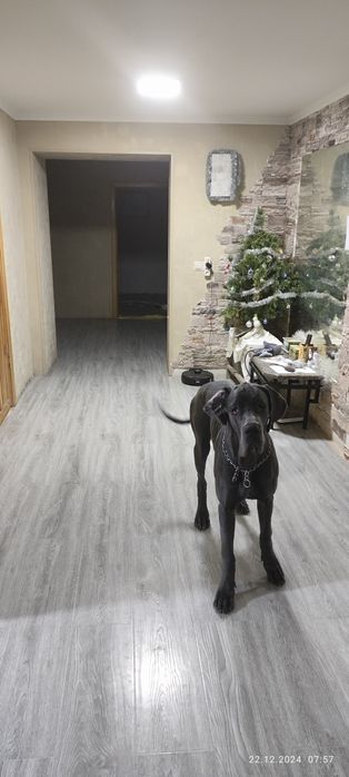 Срочно, срочно!!!Продам дом 5 сот, 400кв  Бектемирский район