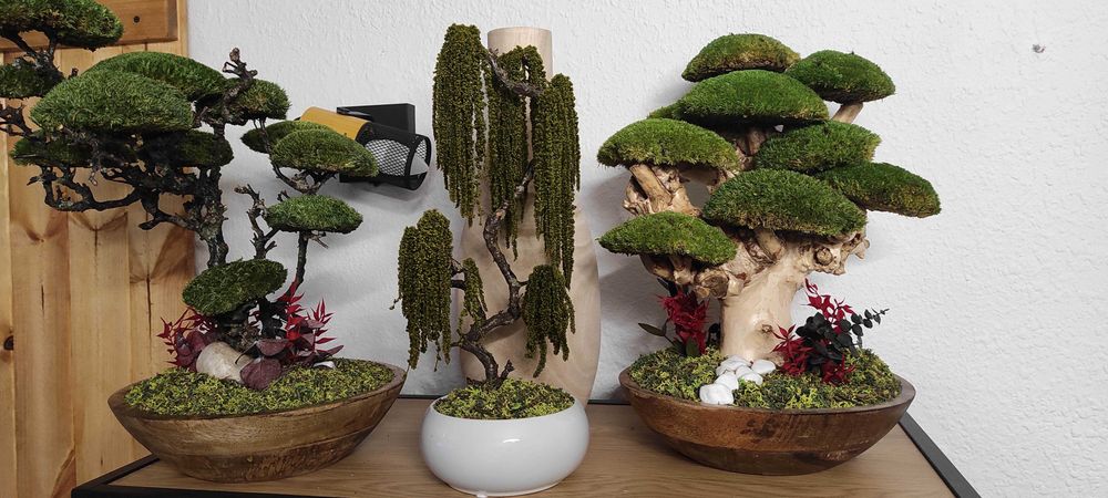 Бонсай със скандинавски мъх и стабилизирани растения!