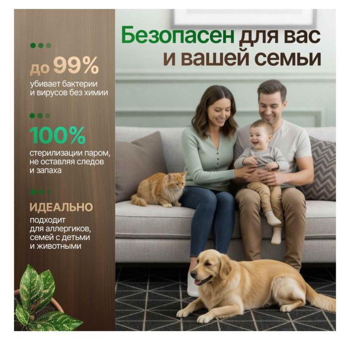 Пароочиститель в аренду
