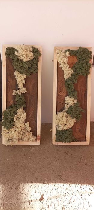 Скандинавски мъх,декорации