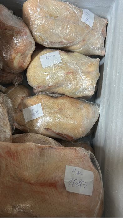 В продаже гуси , утки и бройлеры