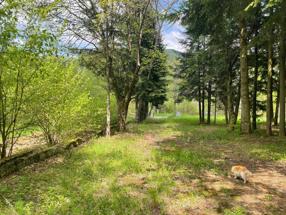 Продава се Парцел в Копривщица - 5551 кв.м за 55 €/кв.м - Снимка #12