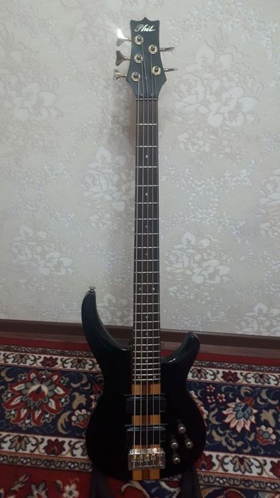 Bass guitar Phil