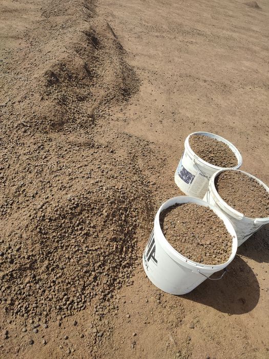 Vând bălegar de oaie la sac