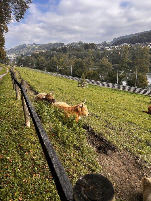 Колбасное оборудование