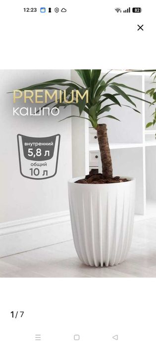 Комнатные цветы оформление пространства