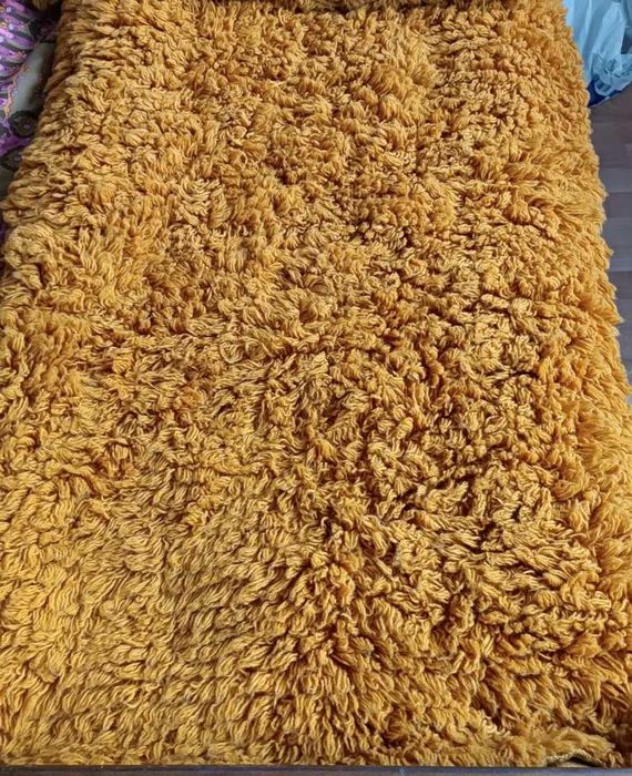 Две бройки оранжеви китеници