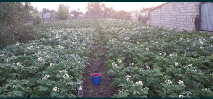 Продам участок земли