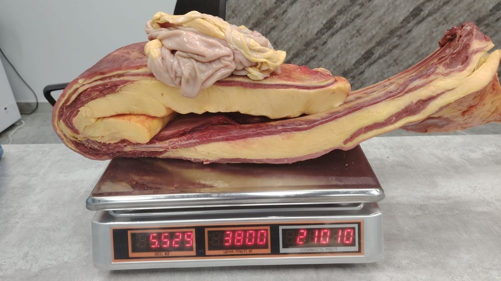 Продаю шужык казы