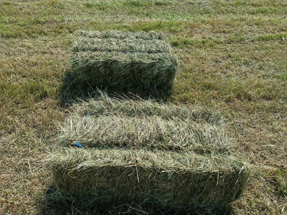 FÂN / OTAVĂ- baloți dreptunghiulari