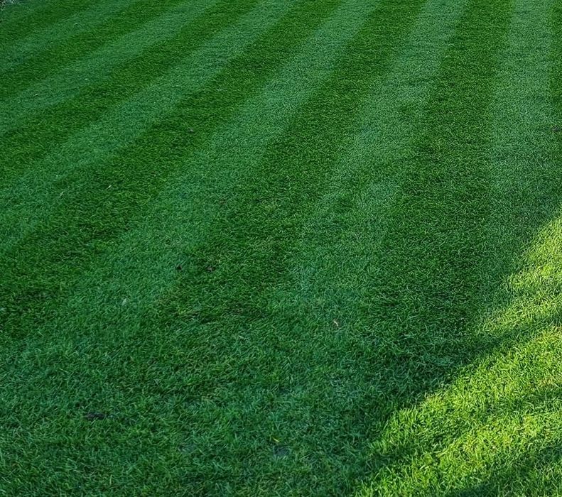 Chisai / Pamant nisipos pentru gazon si gradina