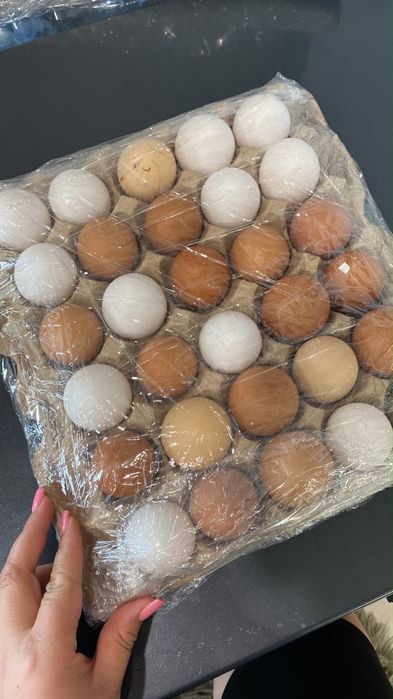 Домашние яйца продам свежие