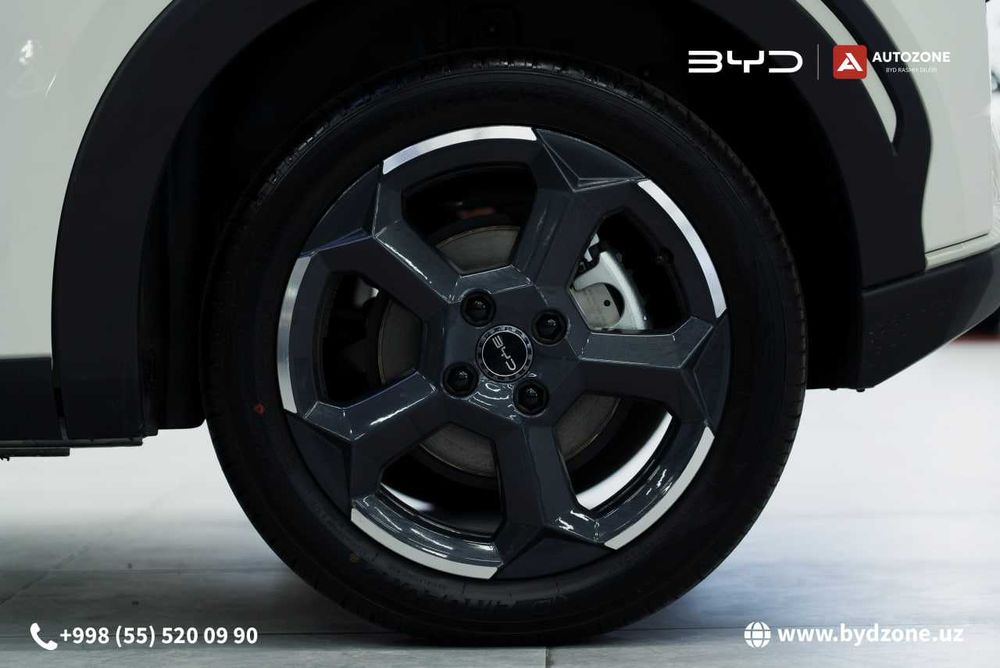 BYD Seagull 405km Flying AVTOZONE