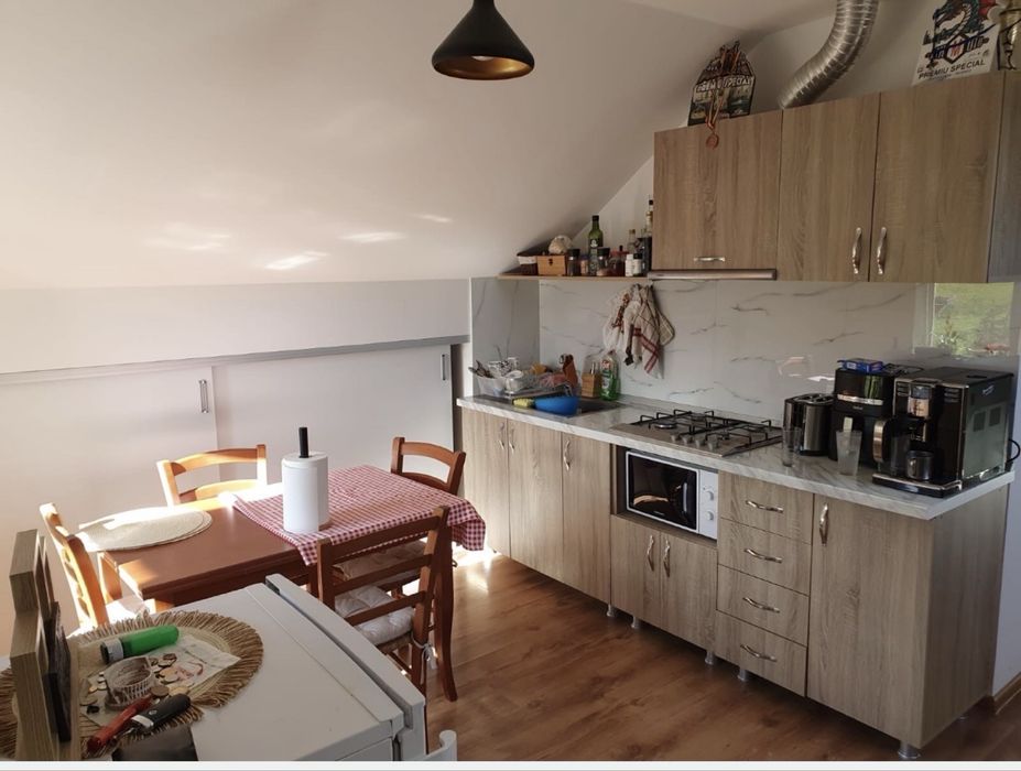 Apartamente la curte de inchiriat 2 camere+ living sau casa cu 6 dormitoare