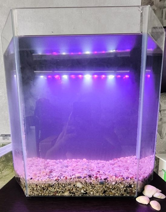 Аквариум 40 л в объёме