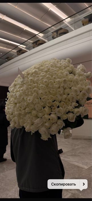 Продам цветы 251 роза