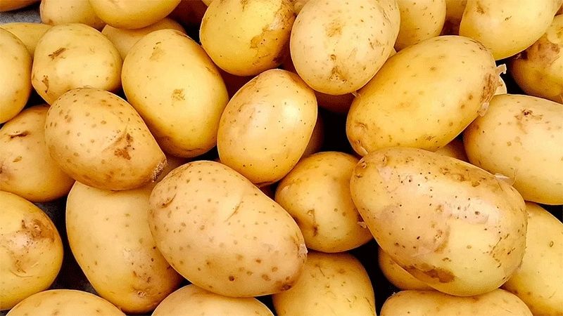 Картофель домашний