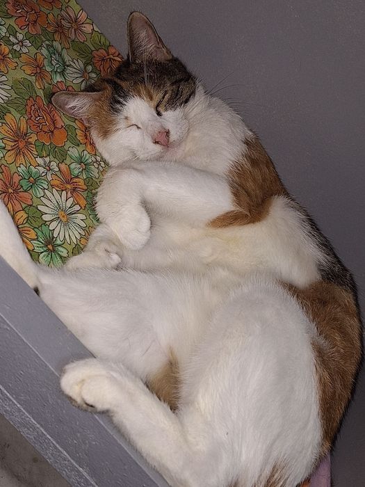 Самым ответственным и порядочным