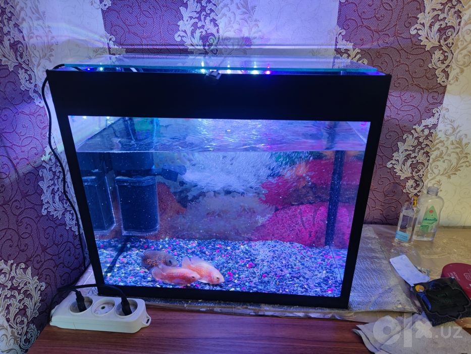 Akvarium 50Litr komplekt