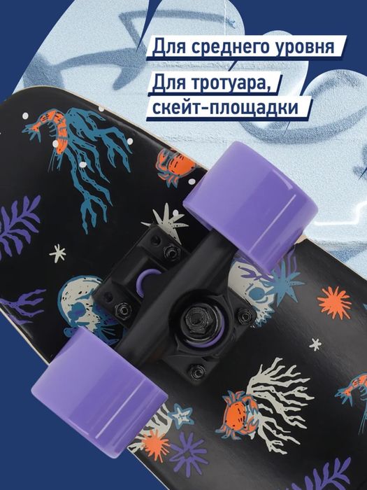 Круизер Termit 25