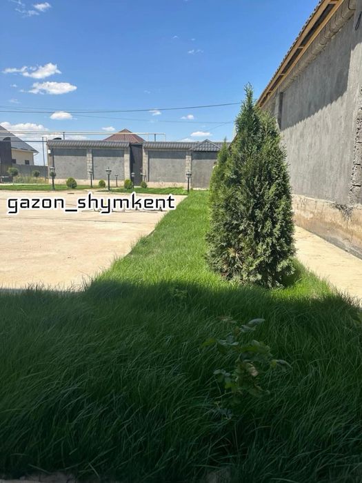 Газон Автопалив ландшафтныи дизаин