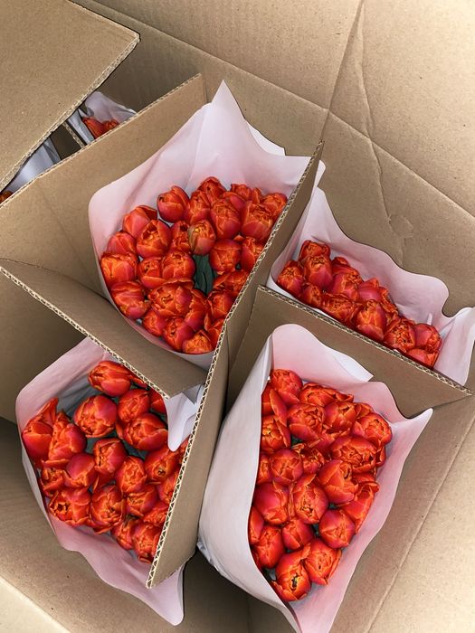 Тюльпаны к 8 марта