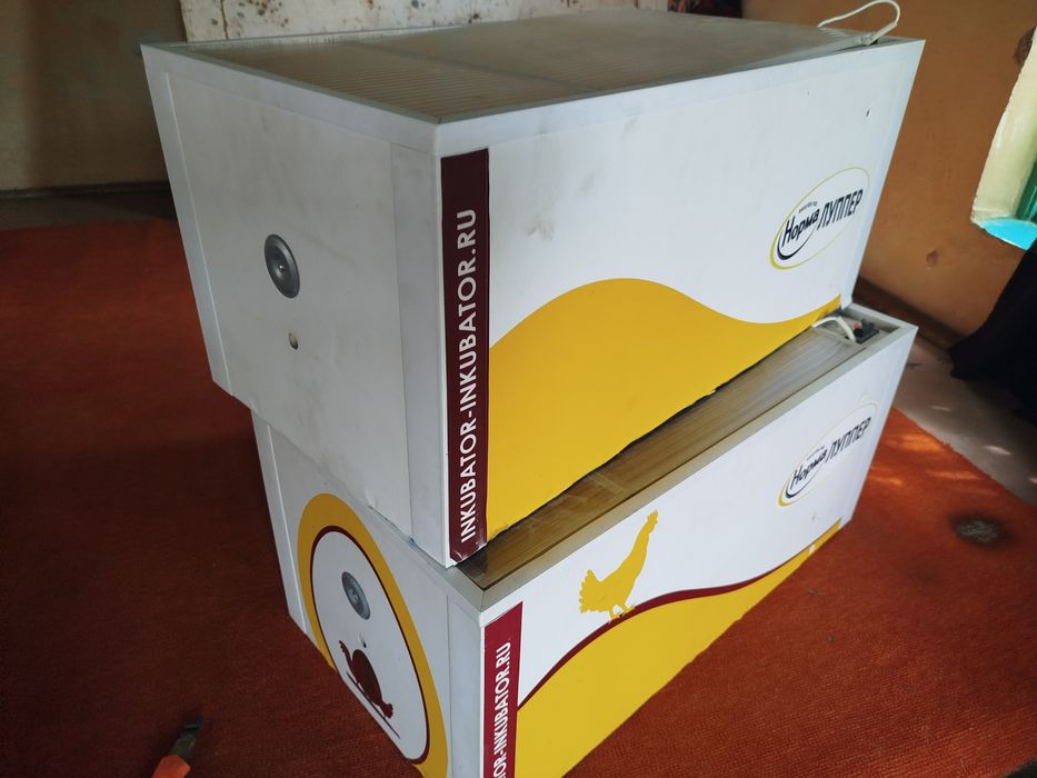 Норма луппер с10