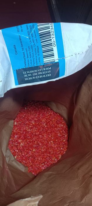 Семена кукурузы Казахстан, Китай, Канада