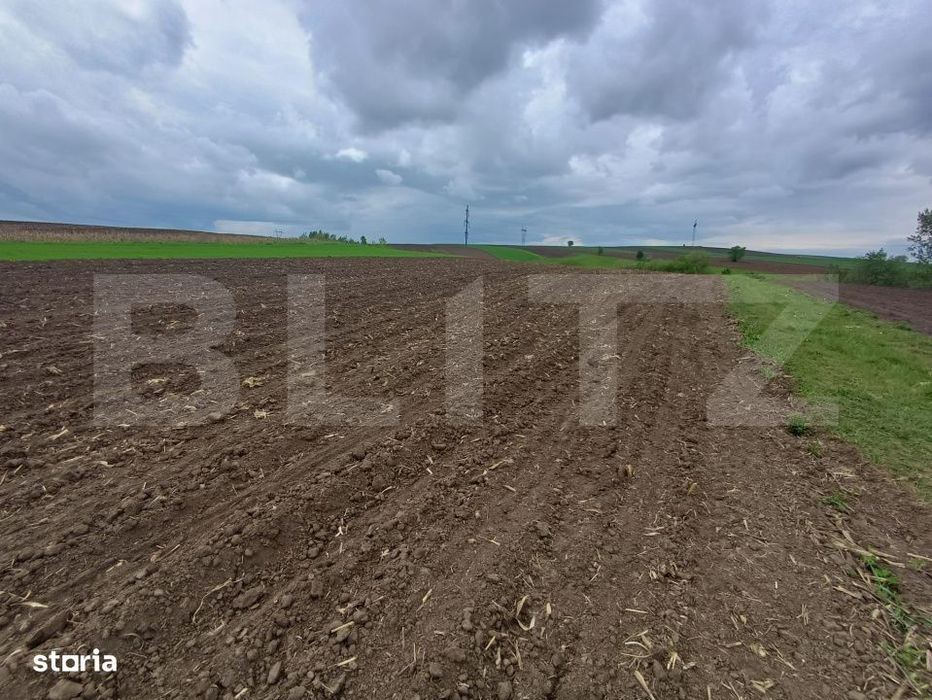 Teren de vanzare extravilan, 50 ari, Cumparatura