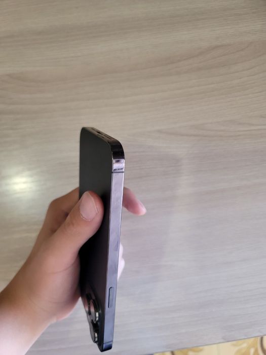 Iphone 14 pro max sim