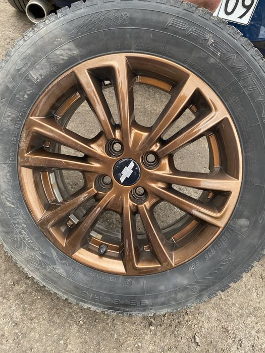 зимный ризина диск