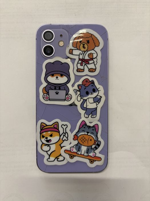 Iphone 12 functional