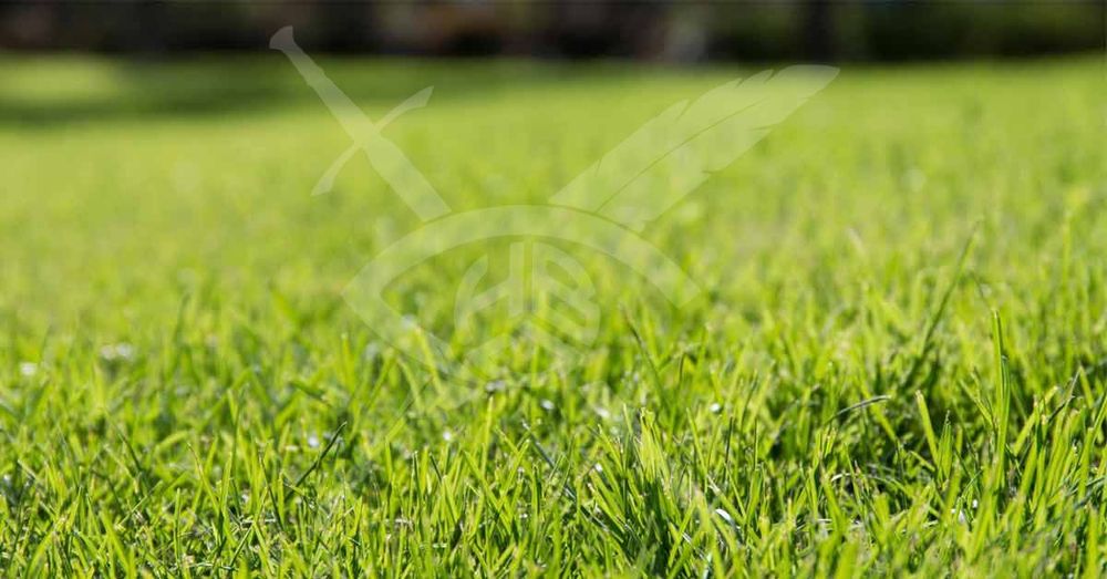 Парцел в Перущица! 92313