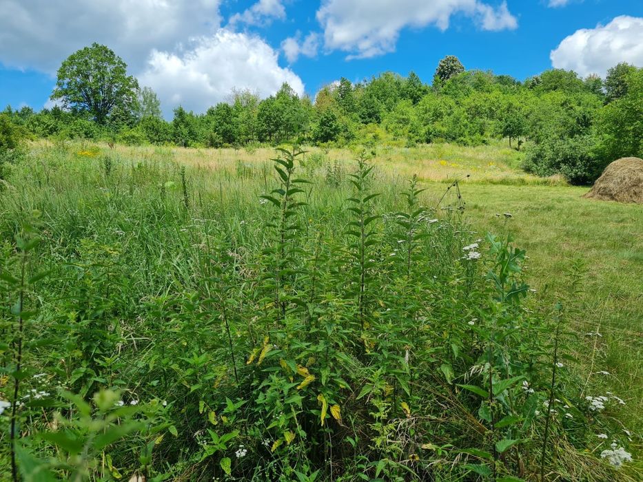 Teren intravilan+extravilan de vanzare Sat Podis-4198mp