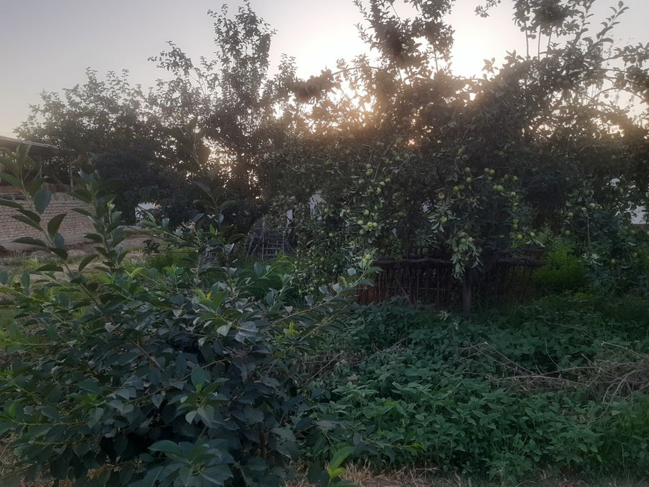 10 сотих ер сотилади