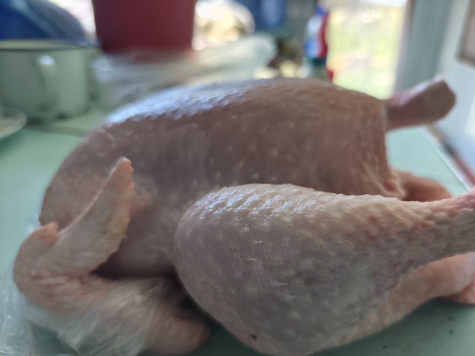Продаются тушки курей бройлеров домашних