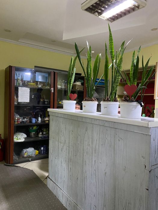 Центральный хостел