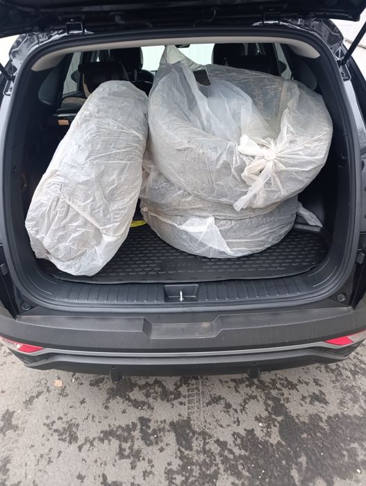 Зимние шины TRIANGLE