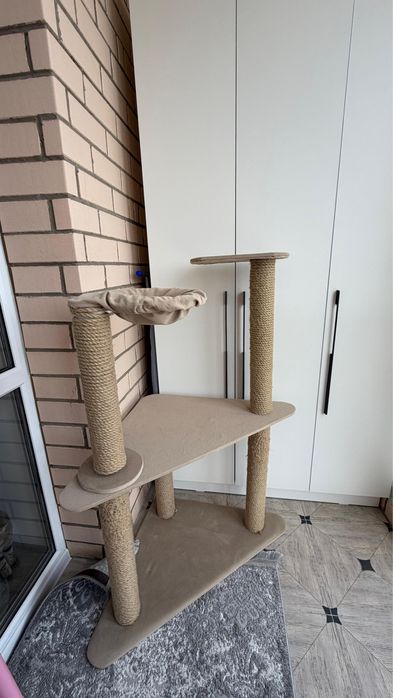 Когтеточка большой