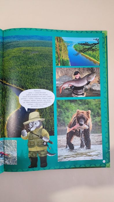 Большая книга новая