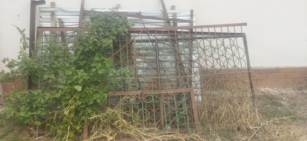Продам Вальтер для собаки