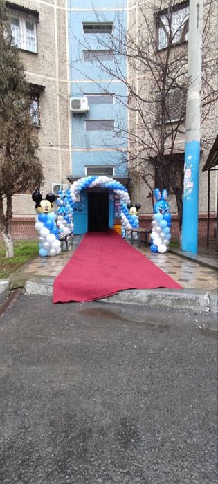 Oformleniya shar Ayiq Mers 221 222 Video shar raddom