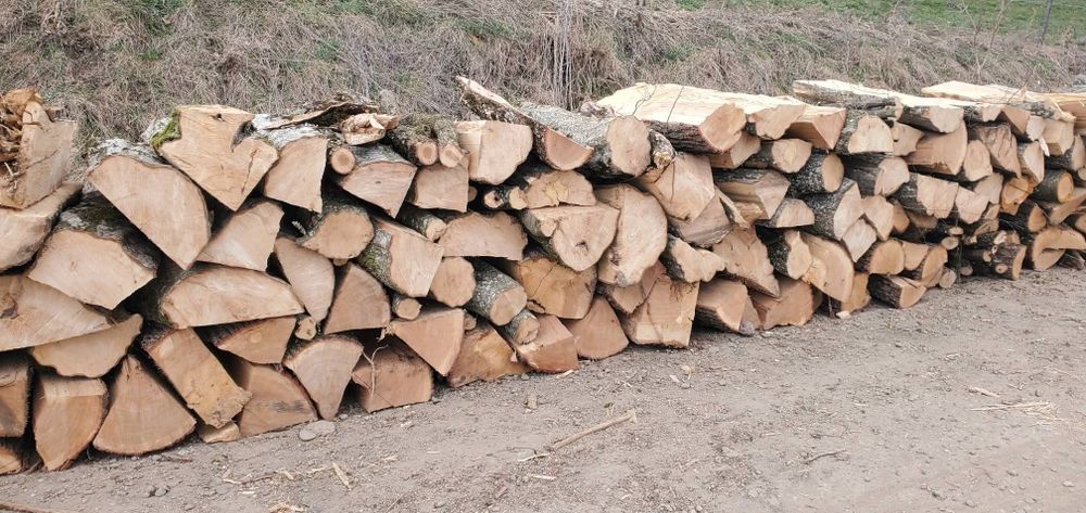 Lemne de foc esenta tare