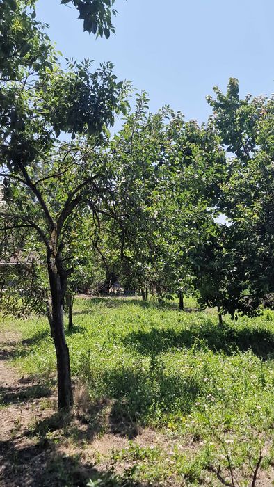 Casa de vânzare cu 4 camere în Bocsig, Arad + Gradina 1000mp cu 2 intrari
