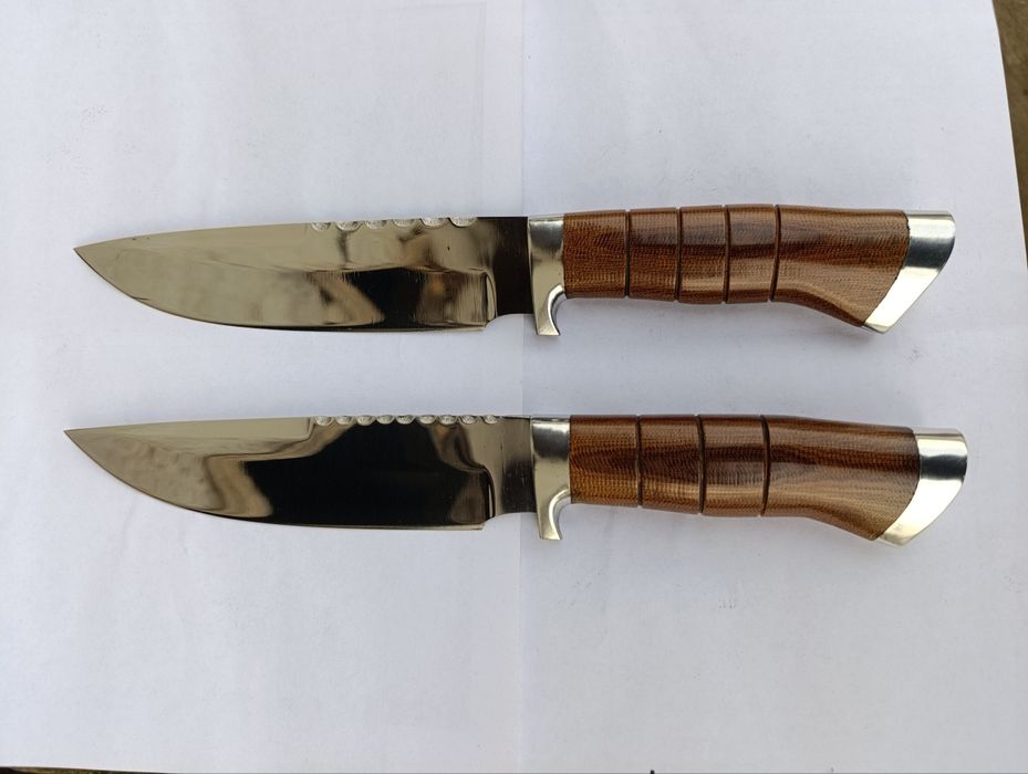 Pichoqlar axotichniy